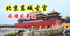 日韩空姐尻逼视频中国北京-东城古宫旅游风景区